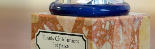 彫刻材料Gravolase™ Metallicsを使用したプレート付き名入れトロフィー